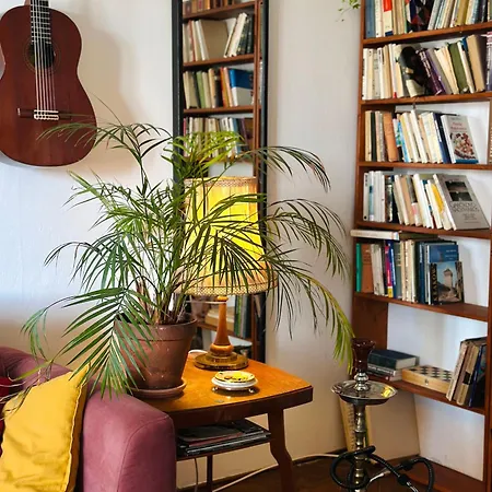 Little Rembrandt Bratislava